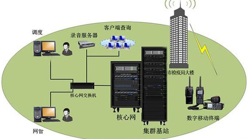 机房网络设备定制与标准设备：性能与合规的差异化考量**